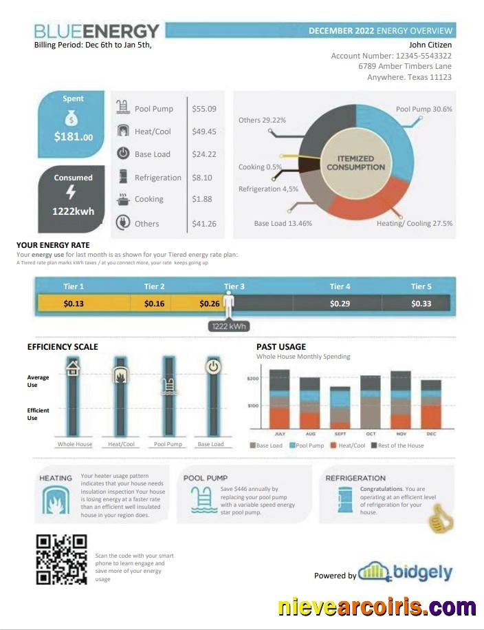 USA Texas Blue Energy utility bill